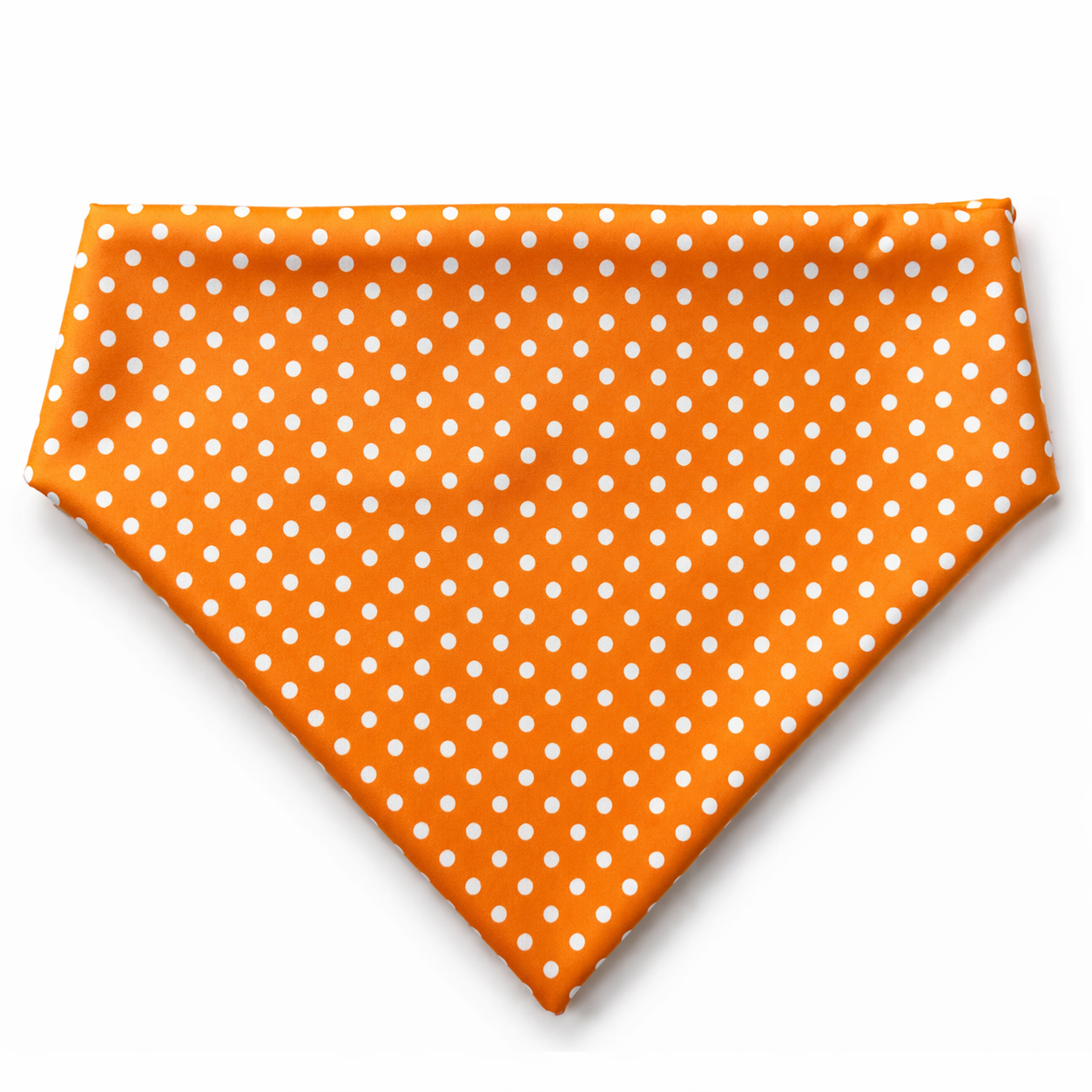 Citrus Noir 🍊🖤