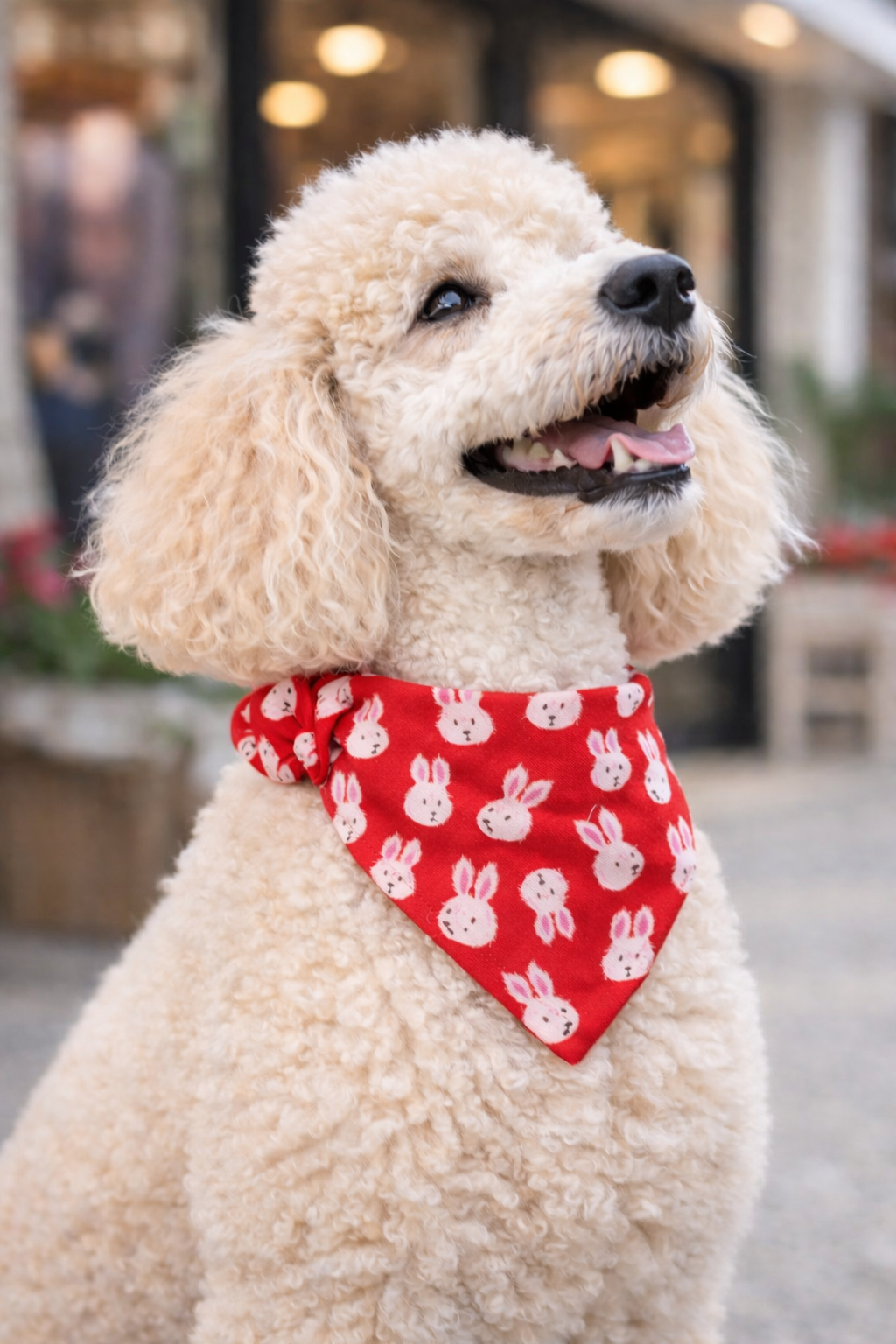 Rosie Bunny & Blush Hearts Reversible Bandana