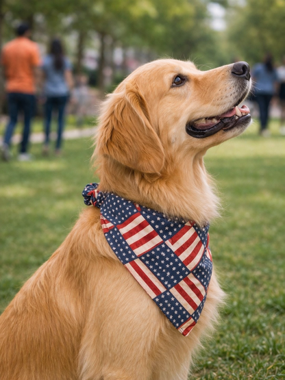 America 250 Reversible Bandana