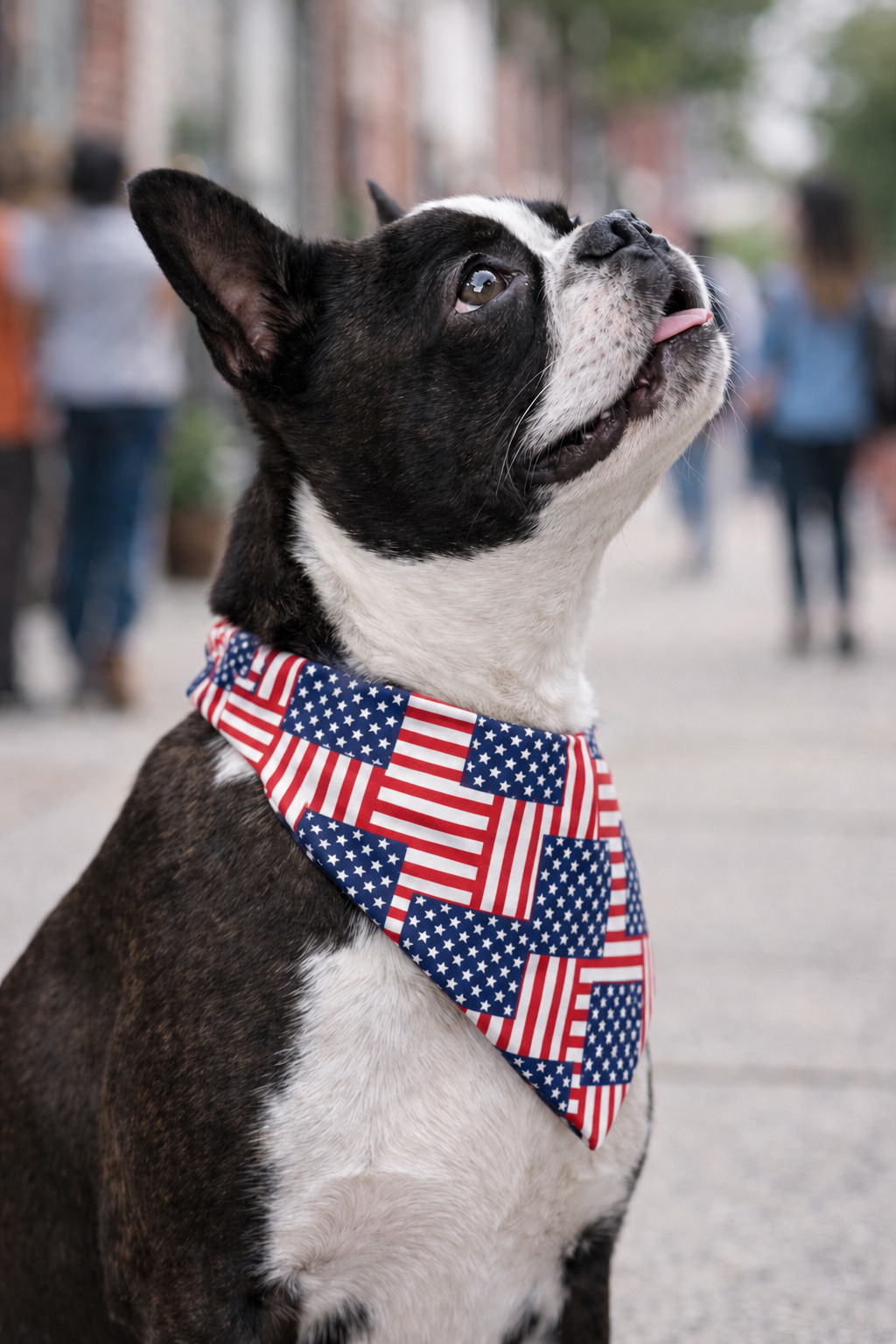 All-American Bandana