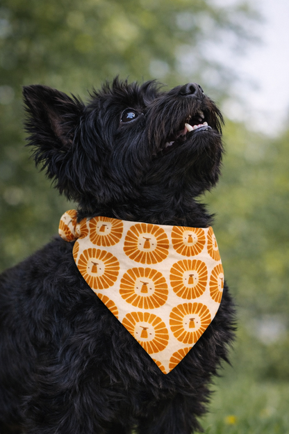 Golden & Honey Leo Reversible Bandana