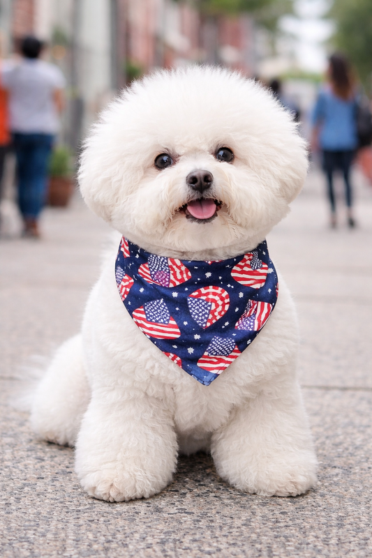 America 250 Reversible Bandana