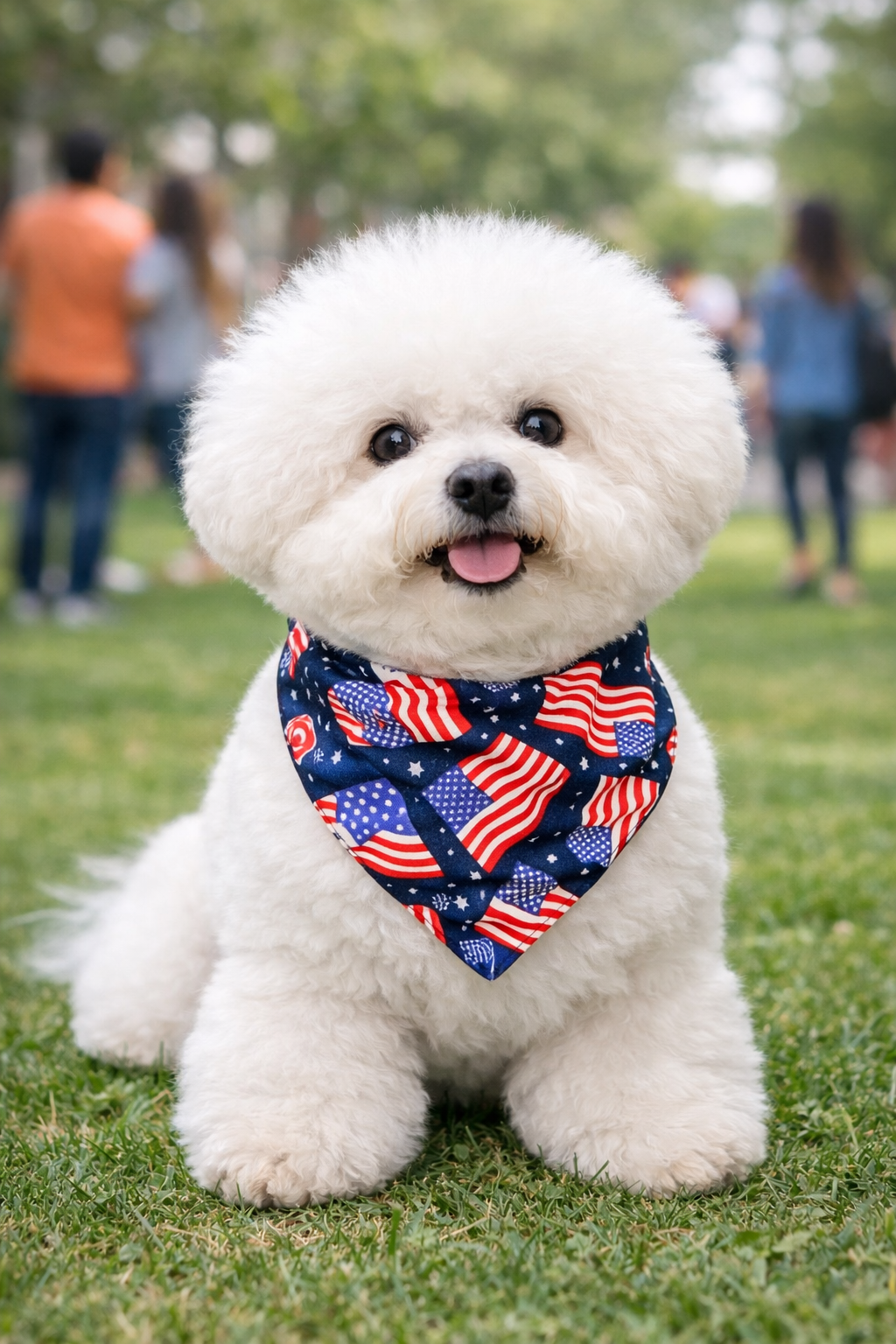 America 250 Reversible Bandana