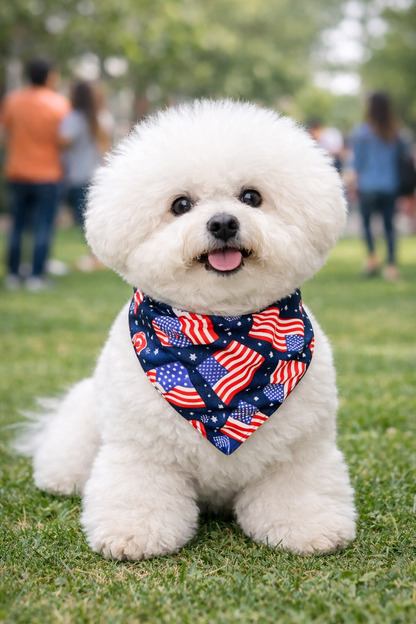 America 250 Reversible Bandana