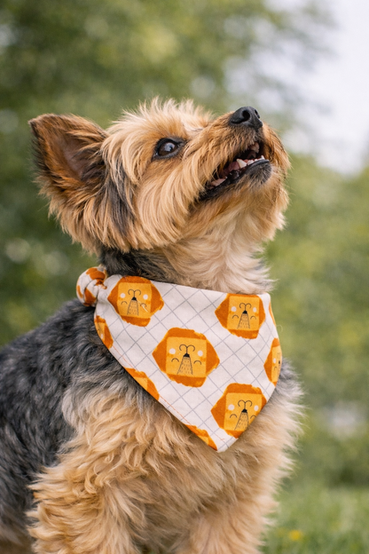 Golden & Honey Leo Reversible Bandana