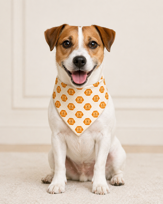Golden & Honey Leo Reversible Bandana