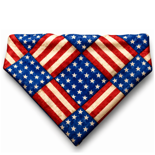 America 250 Reversible Bandana