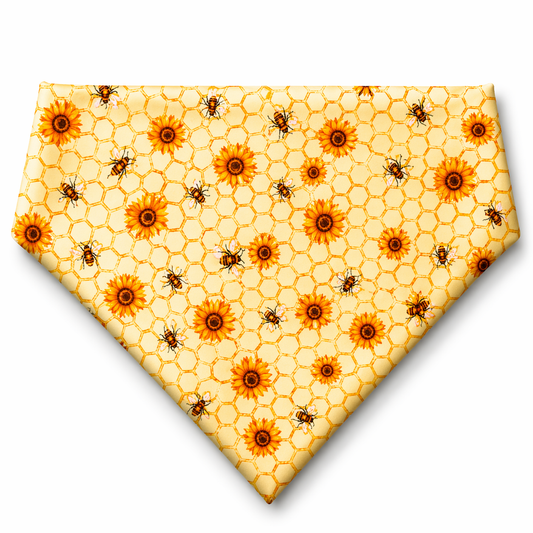 Yellow Spring with dots Bandana
