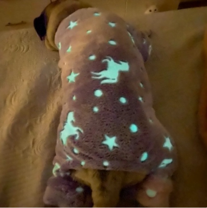 Pijama felpa glow de unicornio (lila) – de mascotas